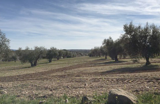 Venta de terreno en Villamuelas