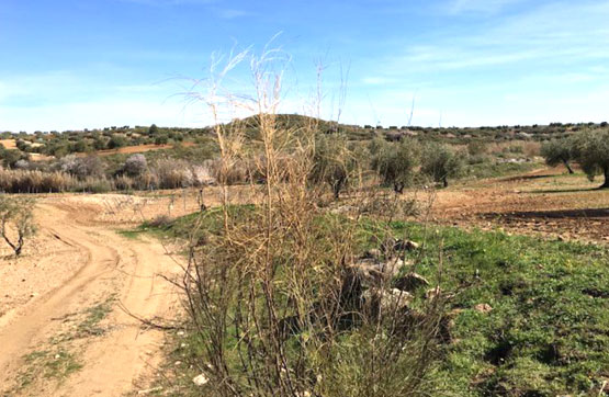 Venta de terreno en Villamuelas