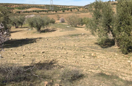 Venta de terreno en Villamuelas