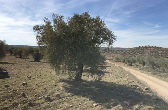 Venta de terreno en Villamuelas