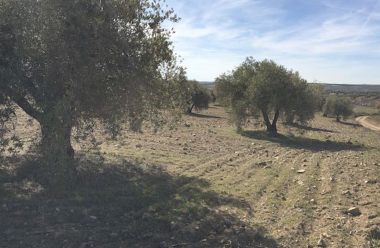 Venta de terreno en Villamuelas