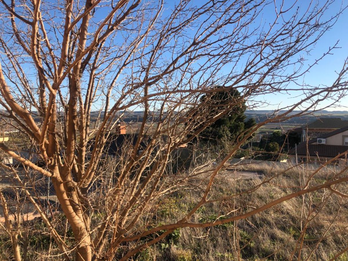 Venta de chalet en Colmenar de Oreja