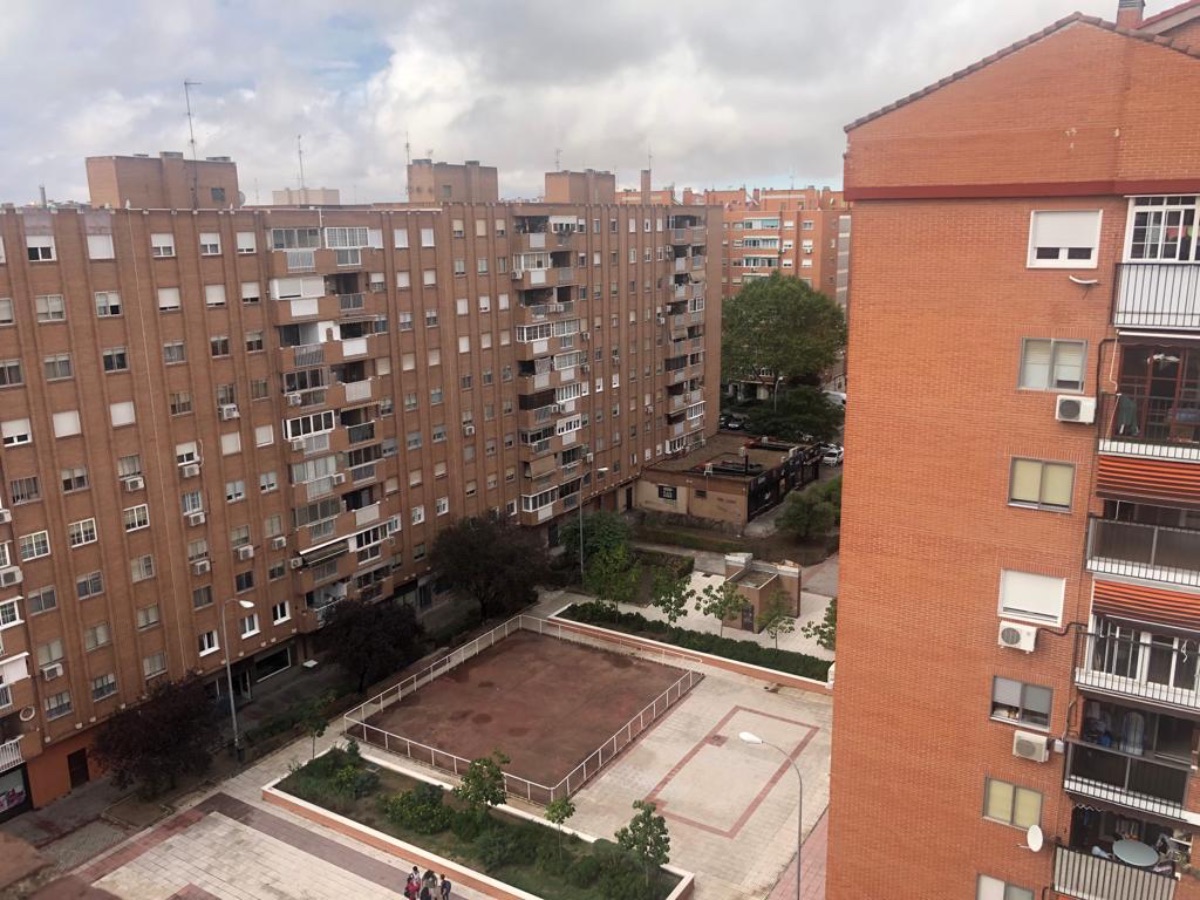 Vistas