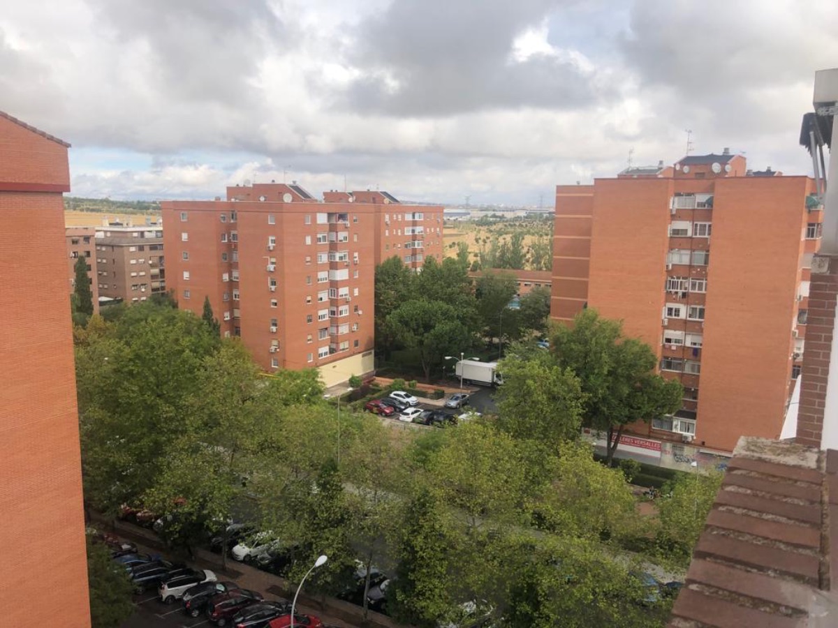 Vistas