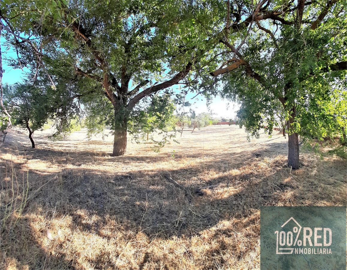 Venta de chalet en Ciruelos