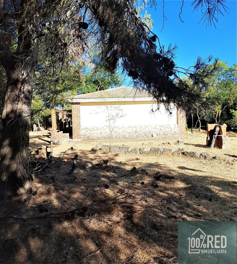 Venta de chalet en Ciruelos