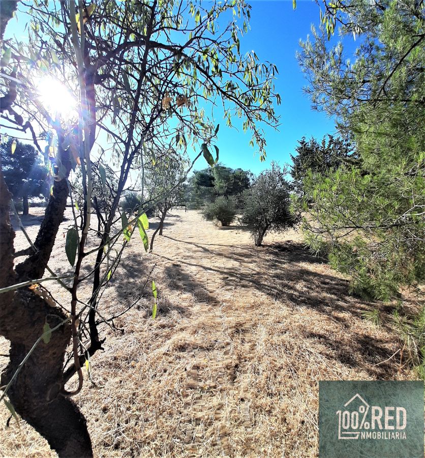 Venta de chalet en Ciruelos