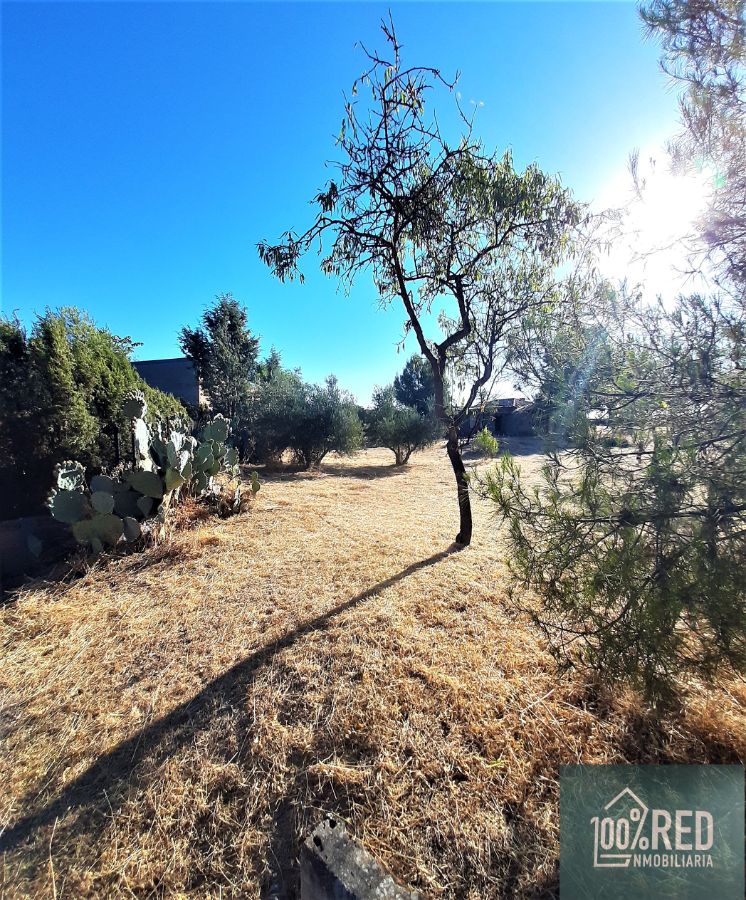 Venta de chalet en Ciruelos