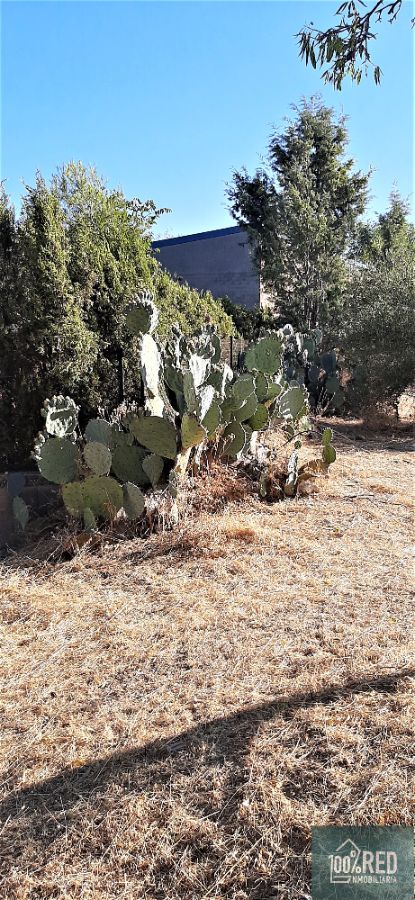 Venta de chalet en Ciruelos