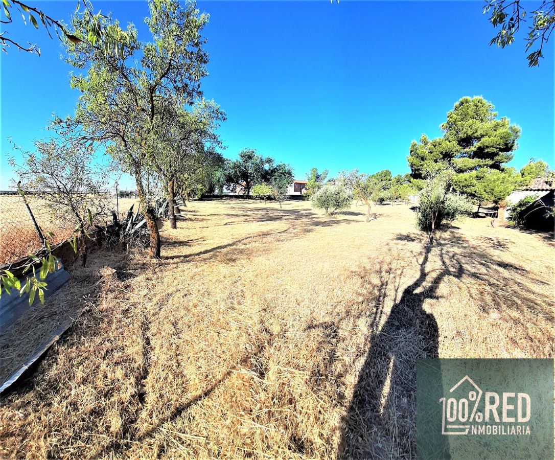Venta de chalet en Ciruelos