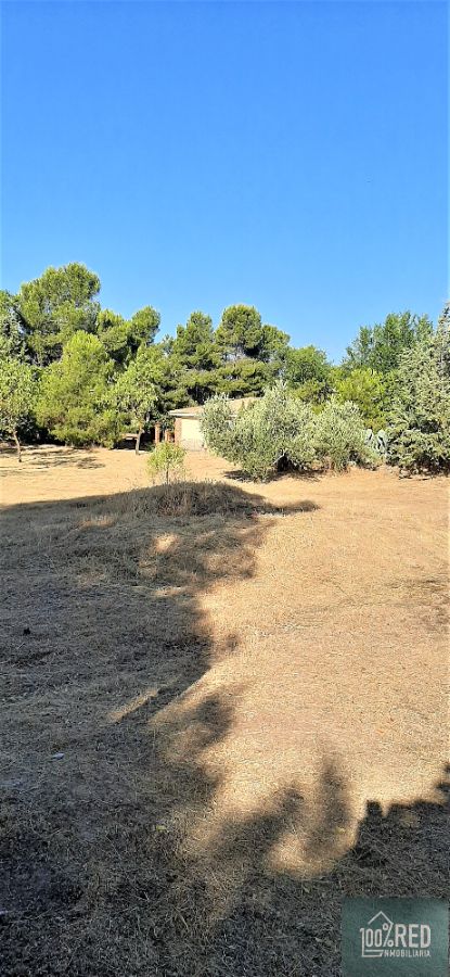 Venta de chalet en Ciruelos
