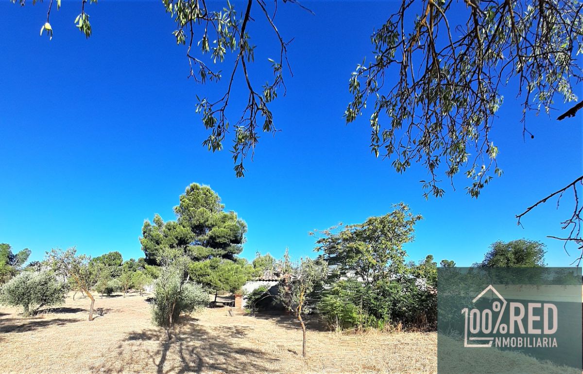 Venta de chalet en Ciruelos