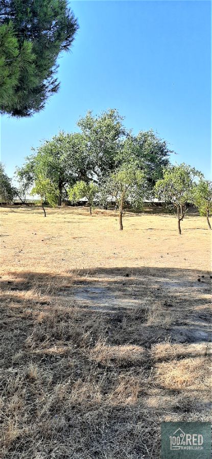 Venta de chalet en Ciruelos