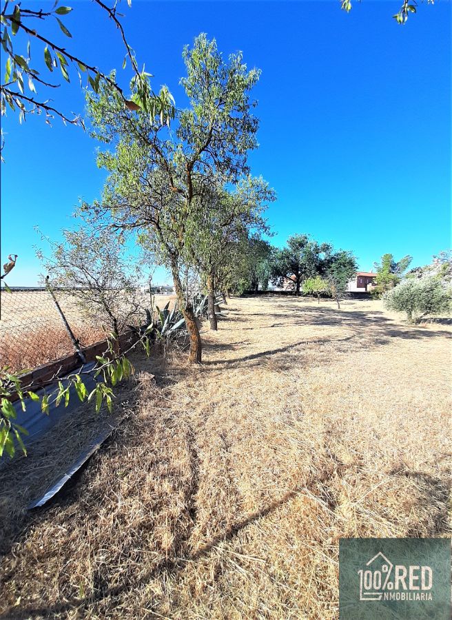 Venta de chalet en Ciruelos