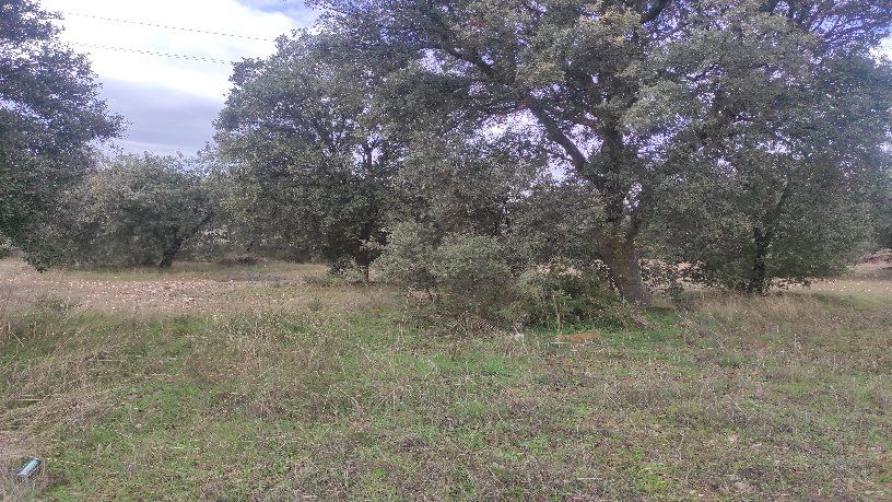 Venta de terreno en Escalona