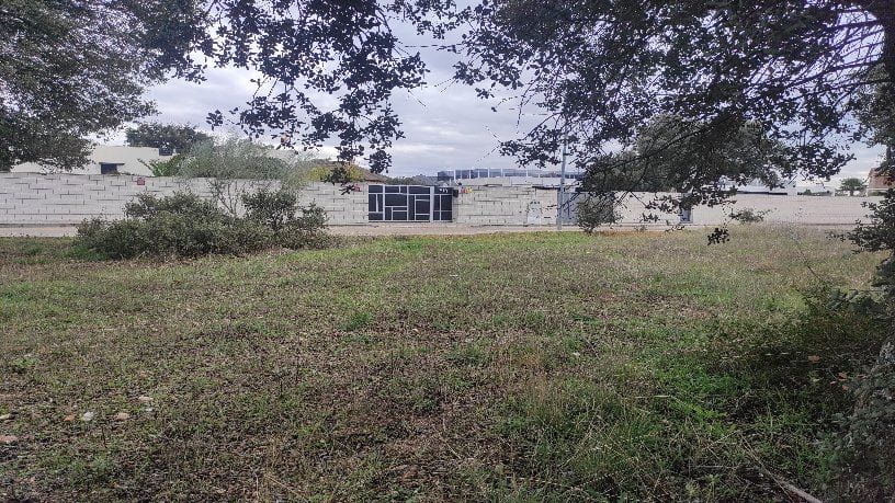 Venta de terreno en Escalona