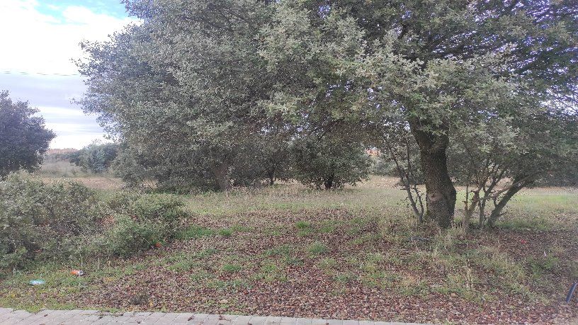 Venta de terreno en Escalona