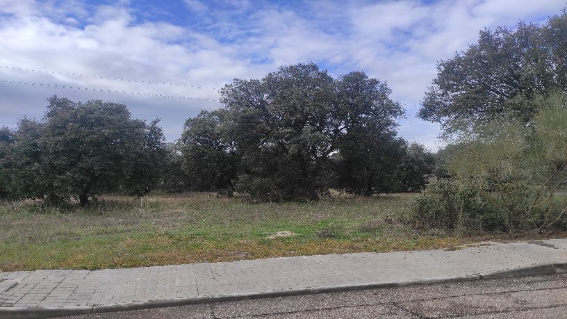 Venta de terreno en Escalona