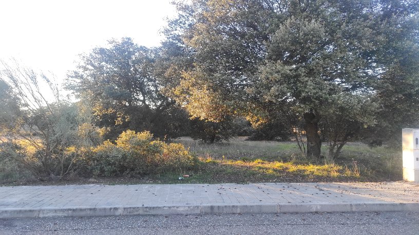 Venta de terreno en Escalona