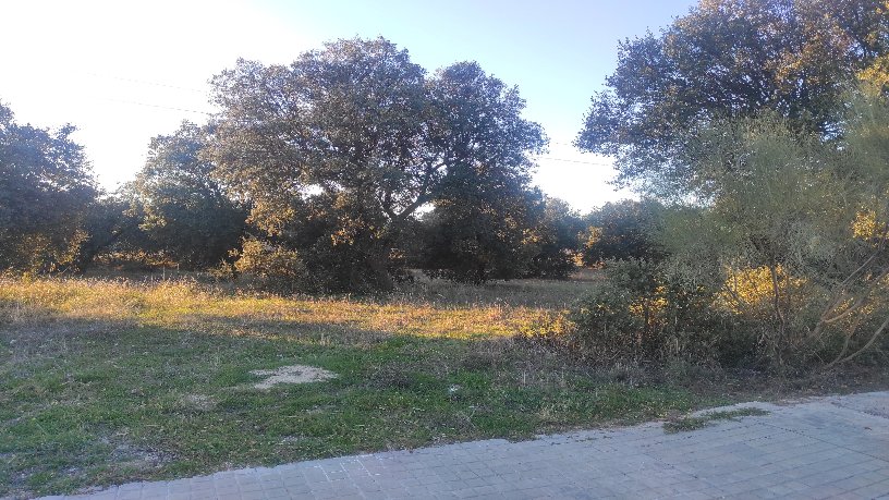 Venta de terreno en Escalona