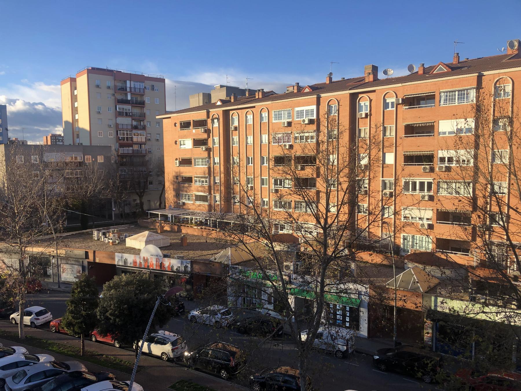 Vistas