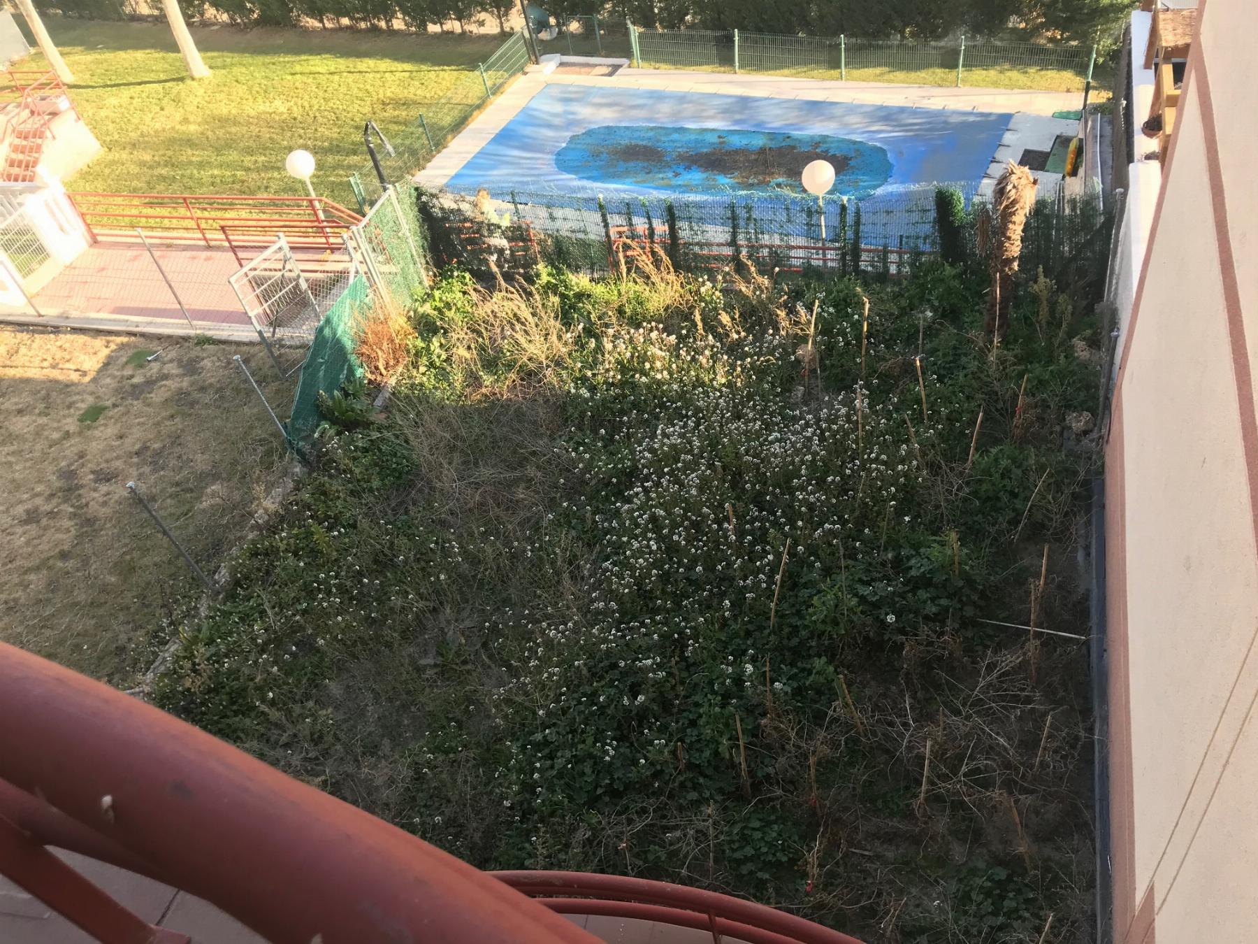 Jardín