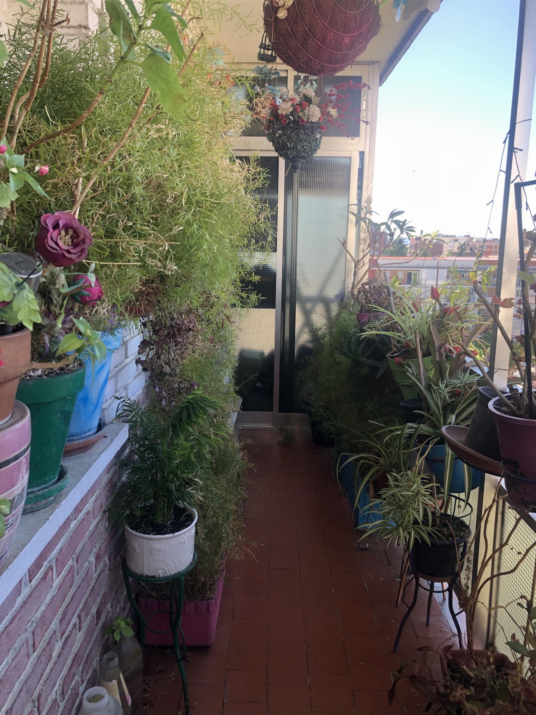 Alquiler de piso en Móstoles