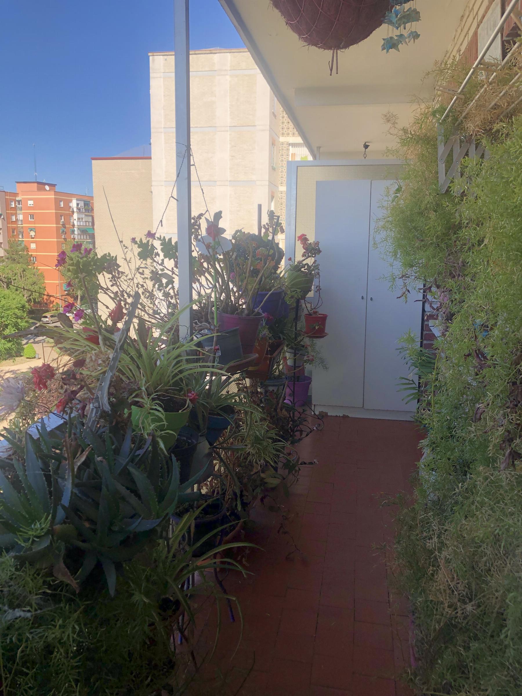 Alquiler de piso en Móstoles