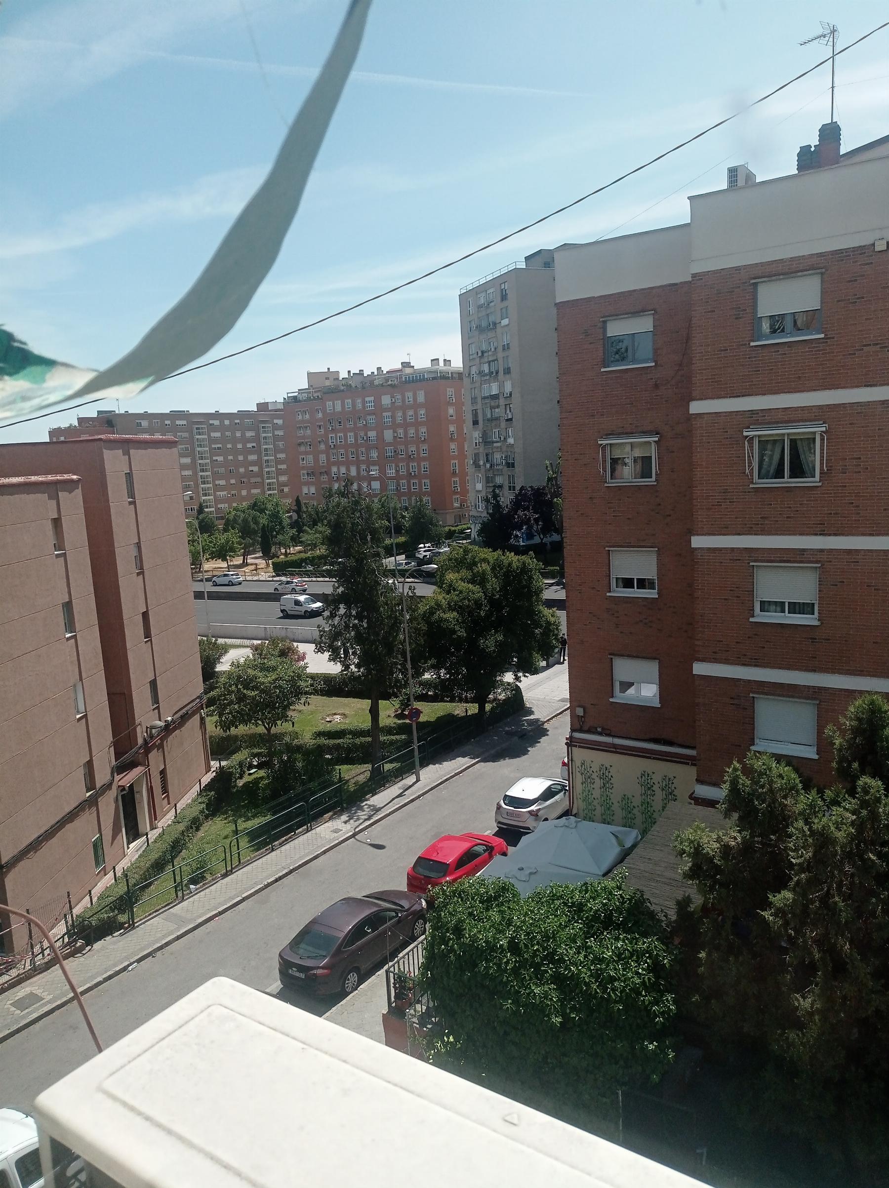 Vistas