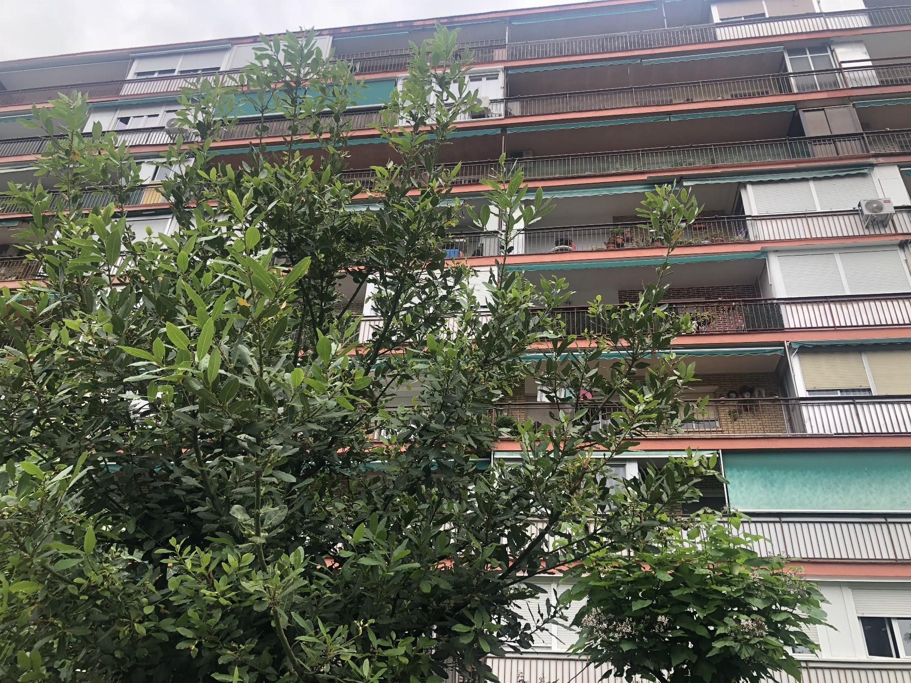 Venta de piso en Fuenlabrada