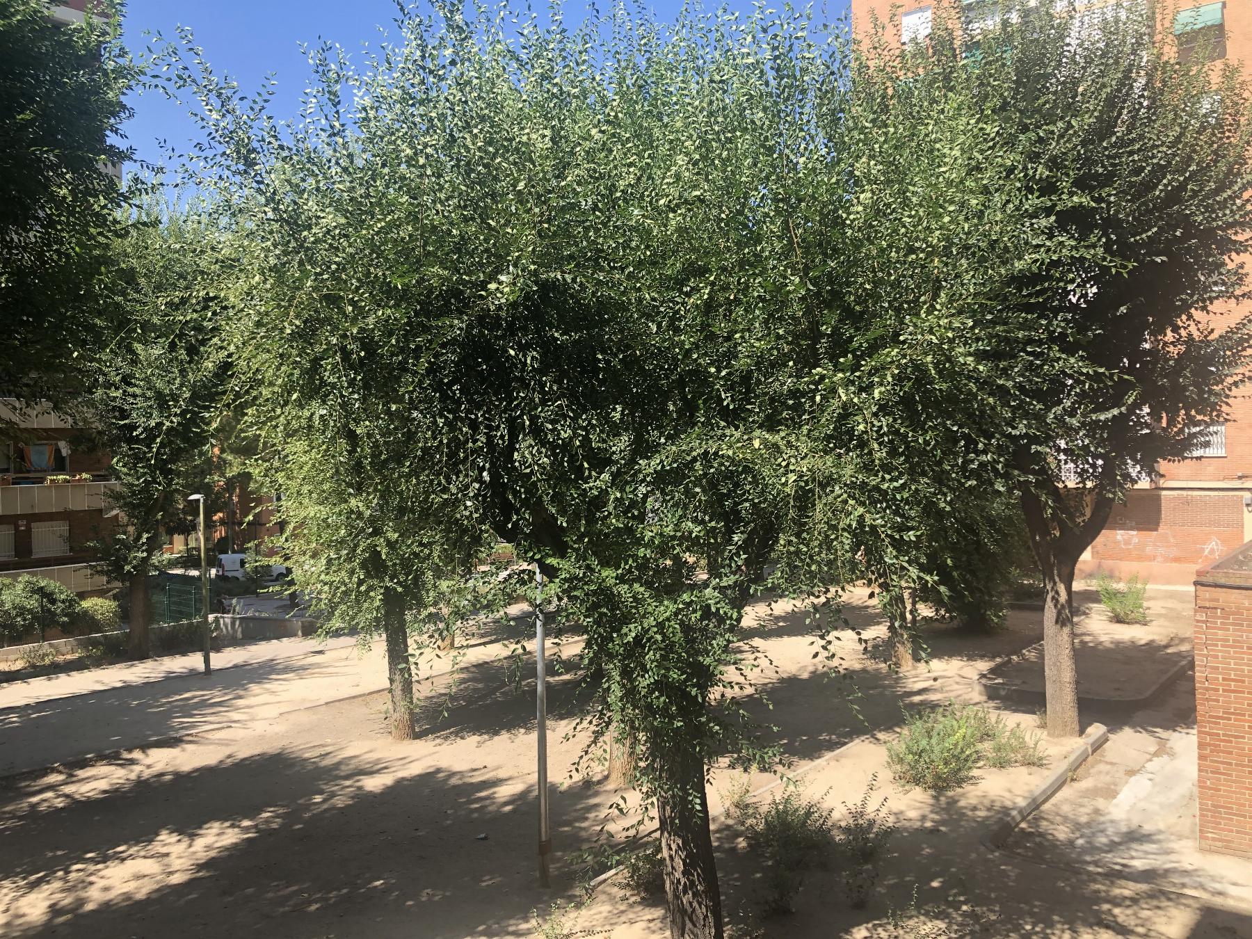 Venta de piso en Móstoles