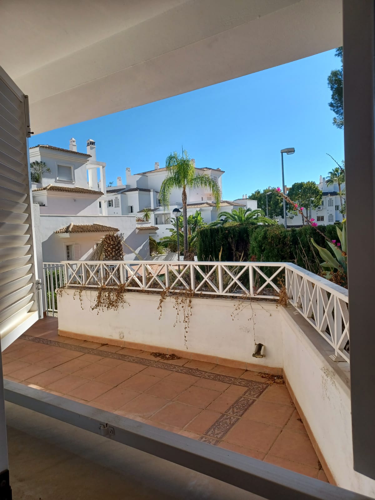 Terraza