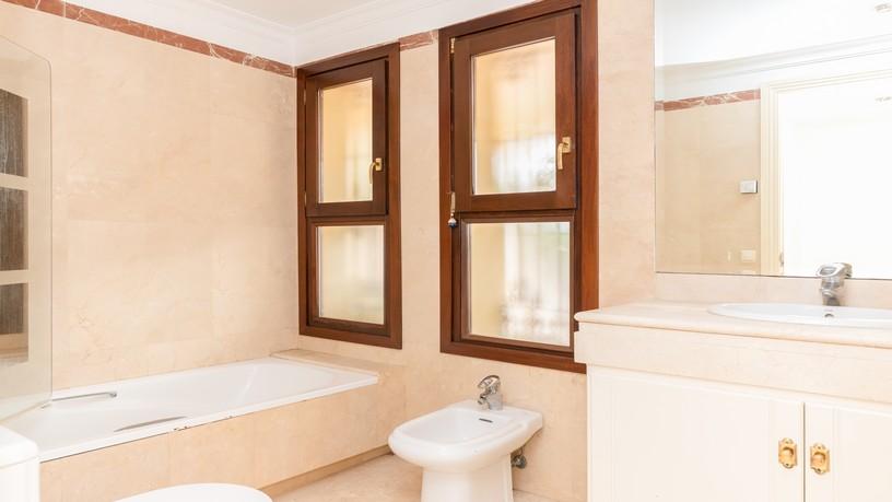 Baño