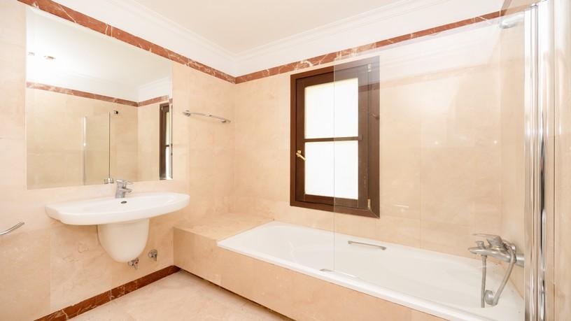 Baño