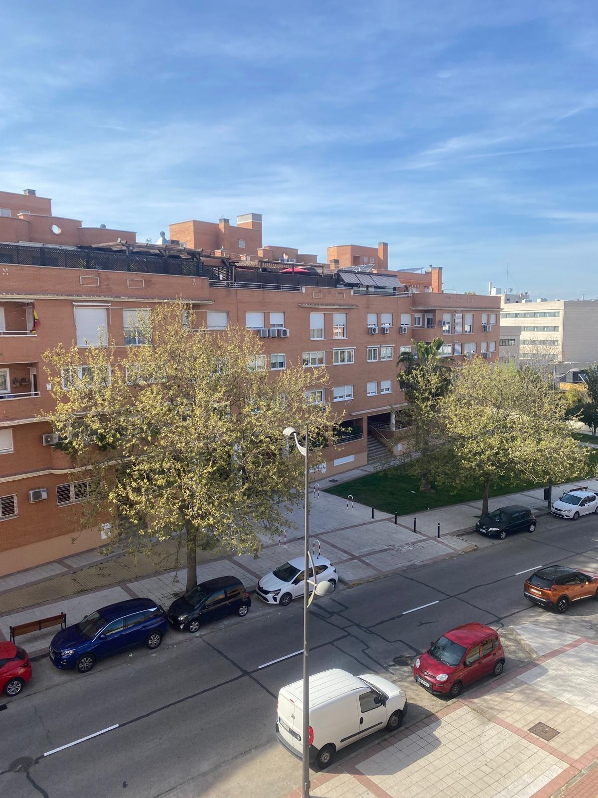 Vistas