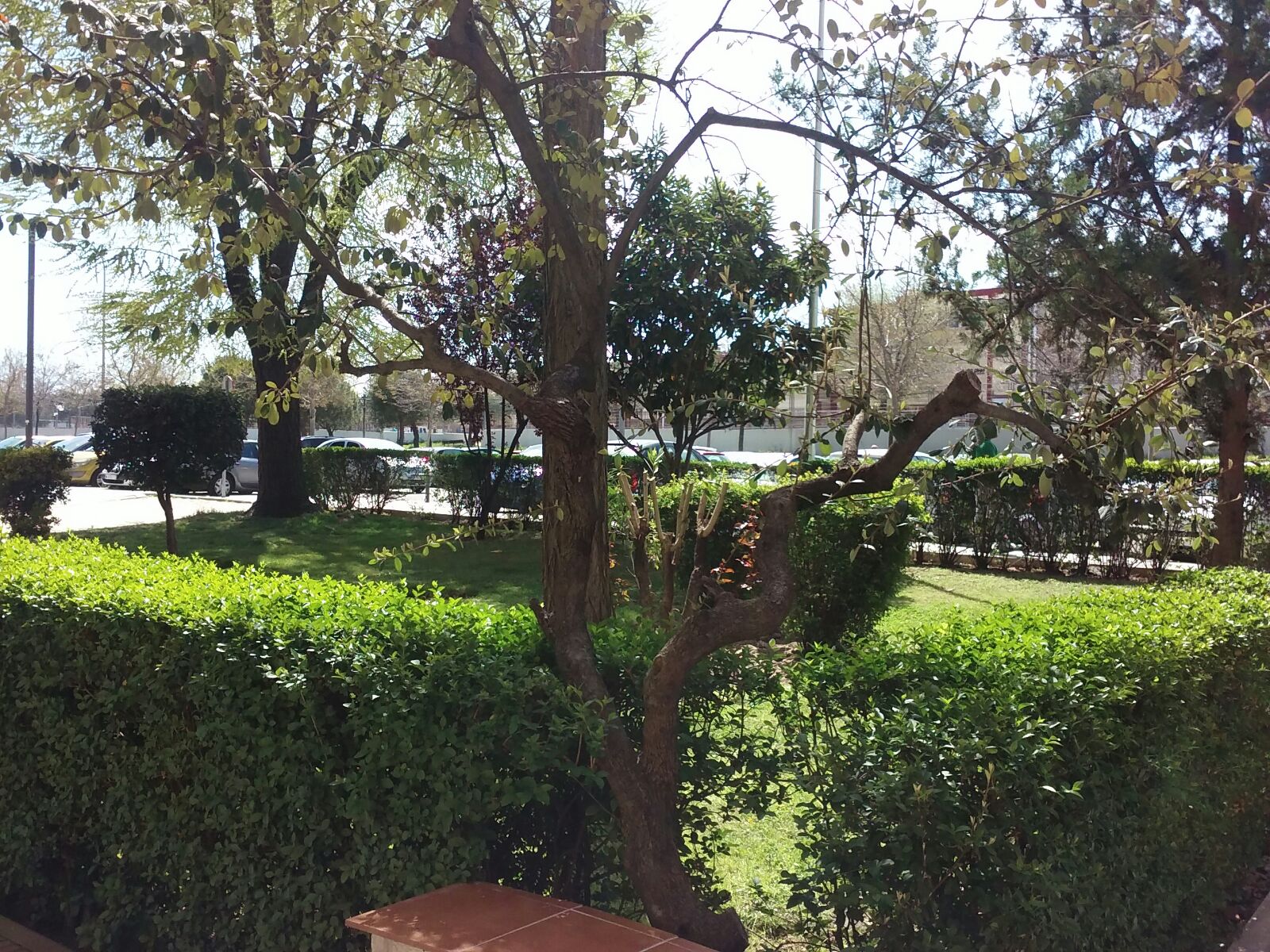 Alquiler de piso en Móstoles