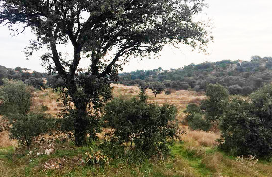 Venta de terreno en San Román de los Montes