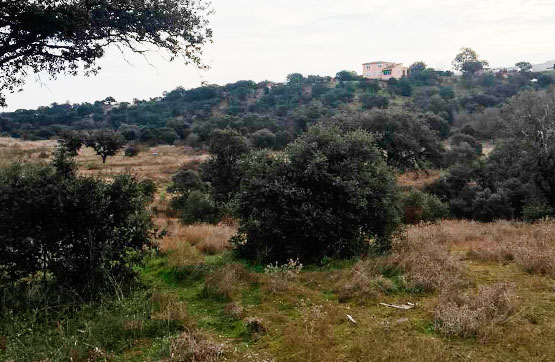 Venta de terreno en San Román de los Montes
