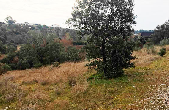 Venta de terreno en San Román de los Montes