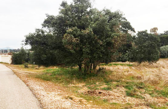 Venta de terreno en San Román de los Montes