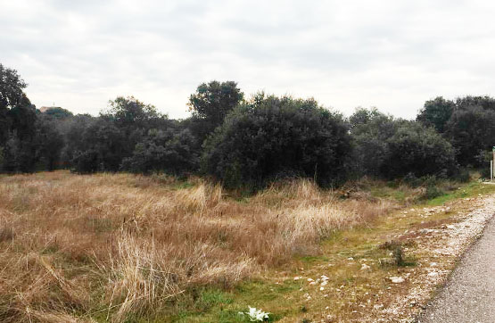 Venta de terreno en San Román de los Montes