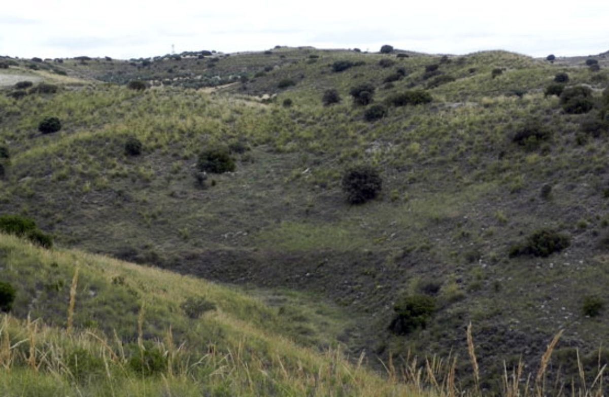 Venta de terreno en Morata de Tajuña