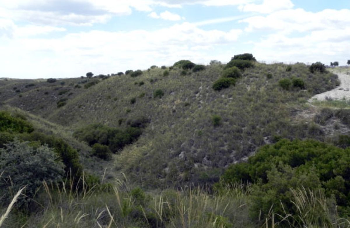 Venta de terreno en Morata de Tajuña