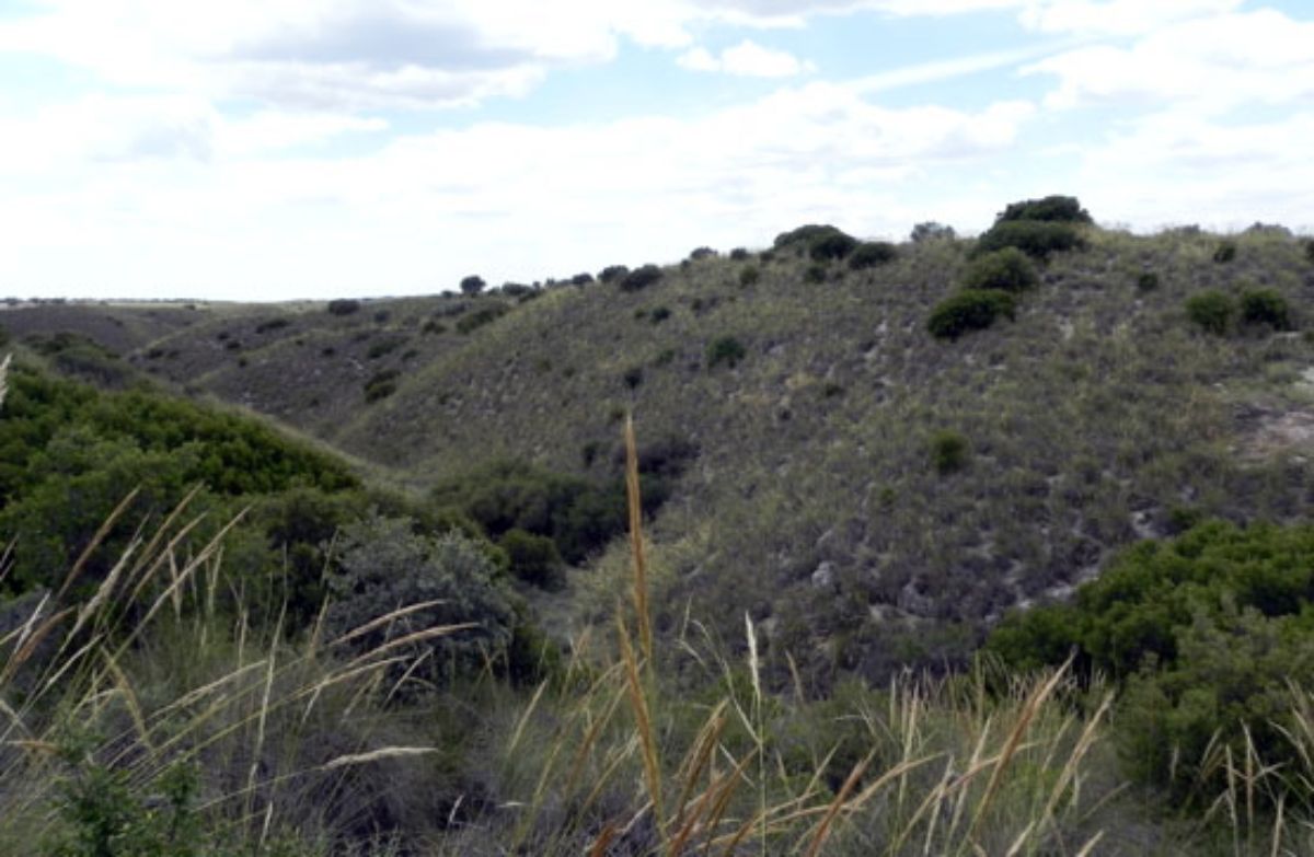 Venta de terreno en Morata de Tajuña