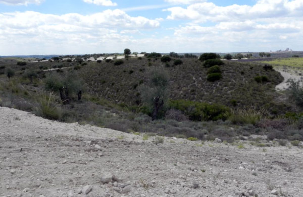 Venta de terreno en Morata de Tajuña