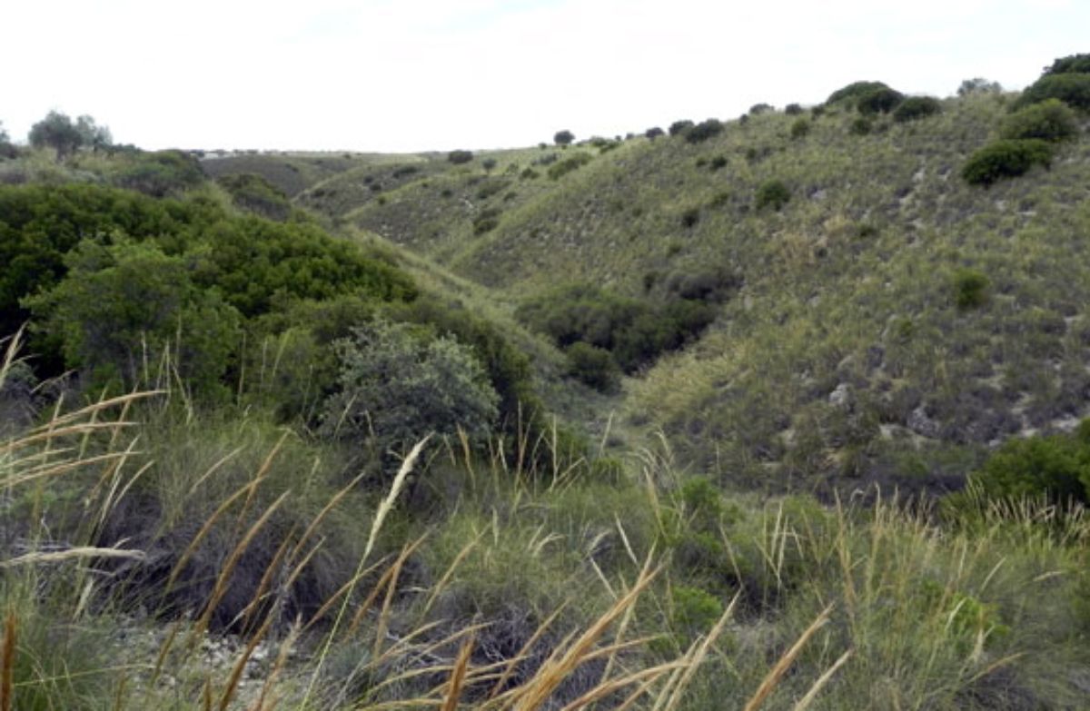 Venta de terreno en Morata de Tajuña