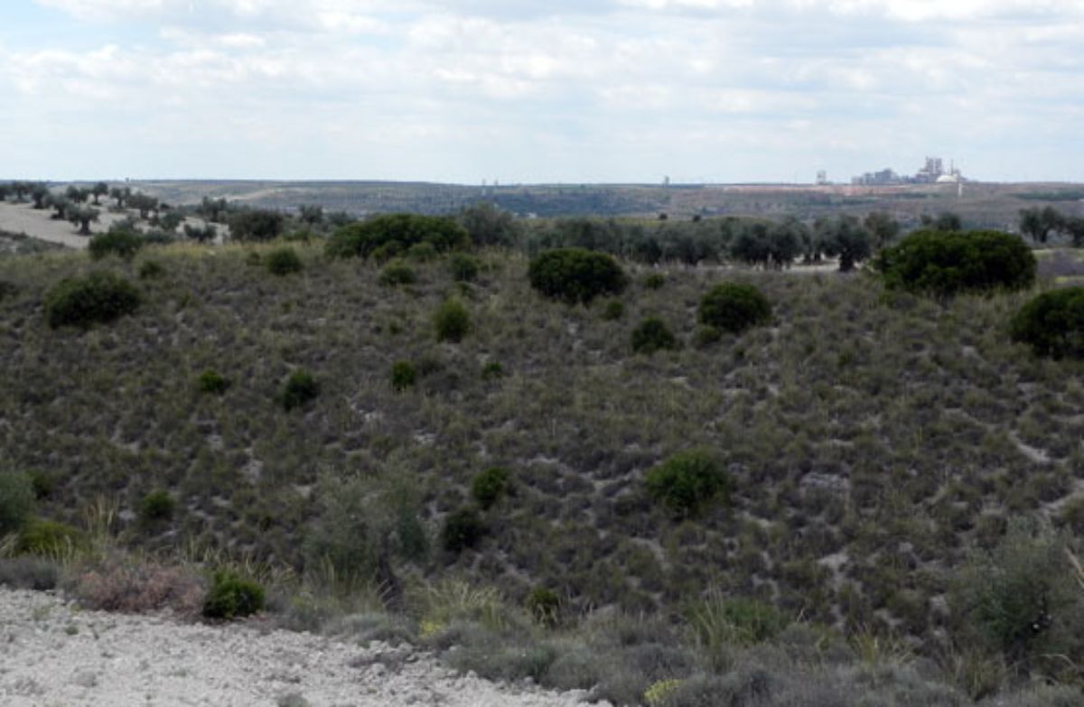 Venta de terreno en Morata de Tajuña