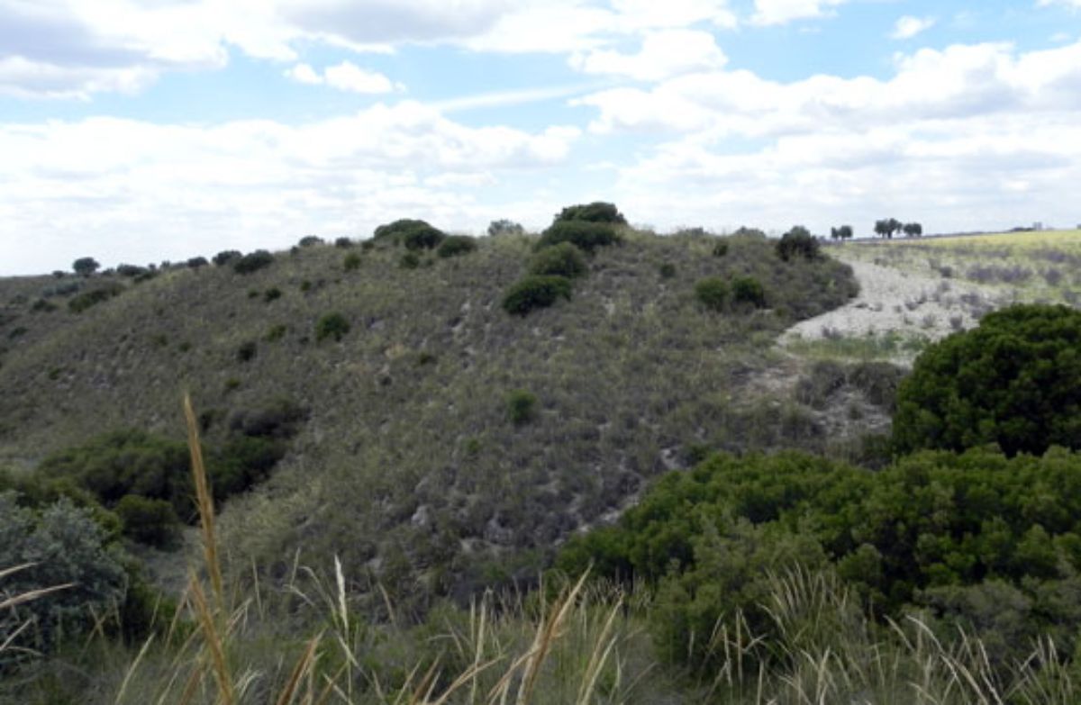 Venta de terreno en Morata de Tajuña