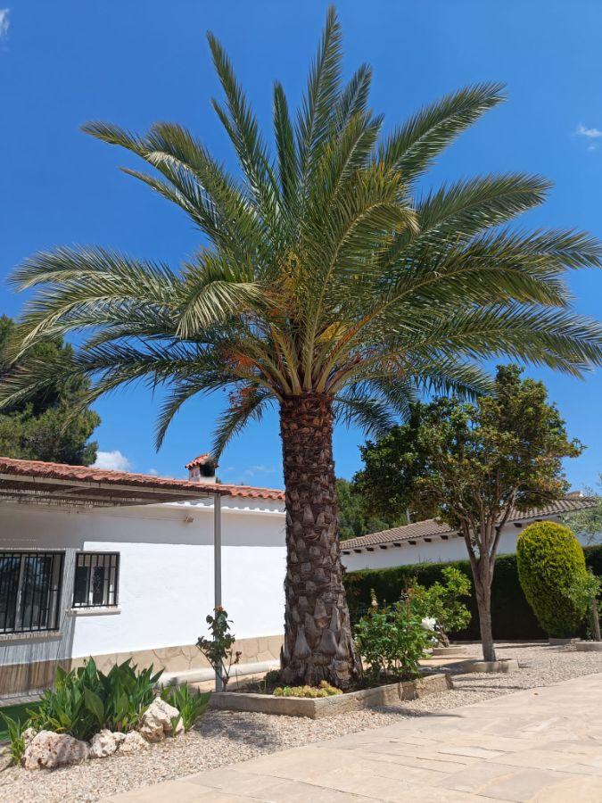 Alquiler de chalet en L´Ametlla de Mar