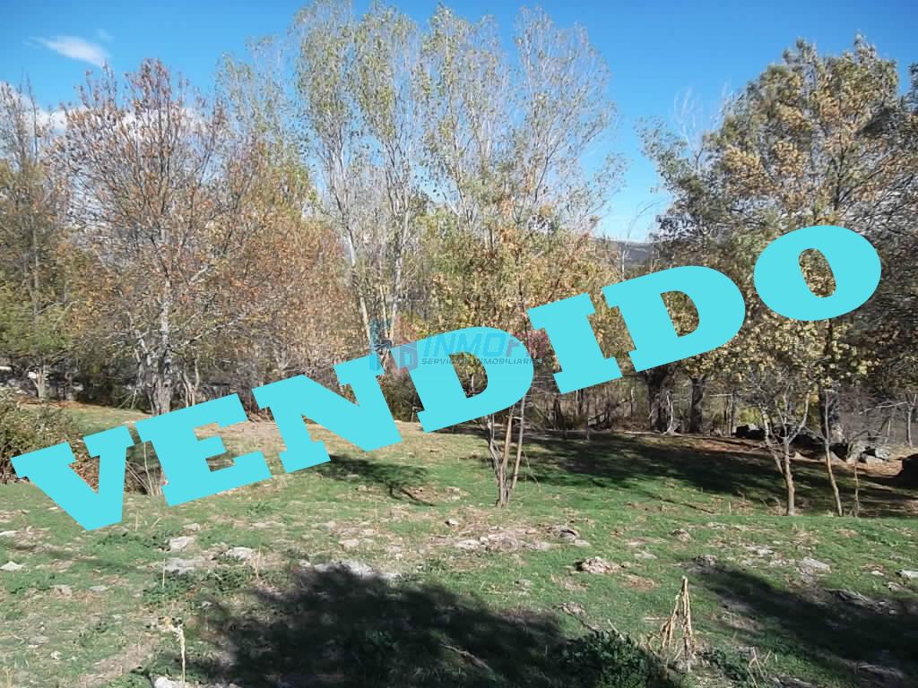 For sale of land in Navas de Riofrío